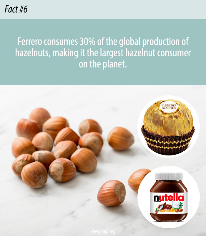 World's Largest Hazelnut Consumer
