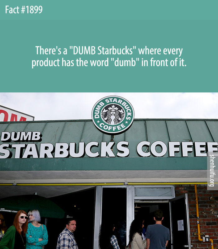 There's a 'DUMB Starbucks' where every product has the word 'dumb' in front of it.