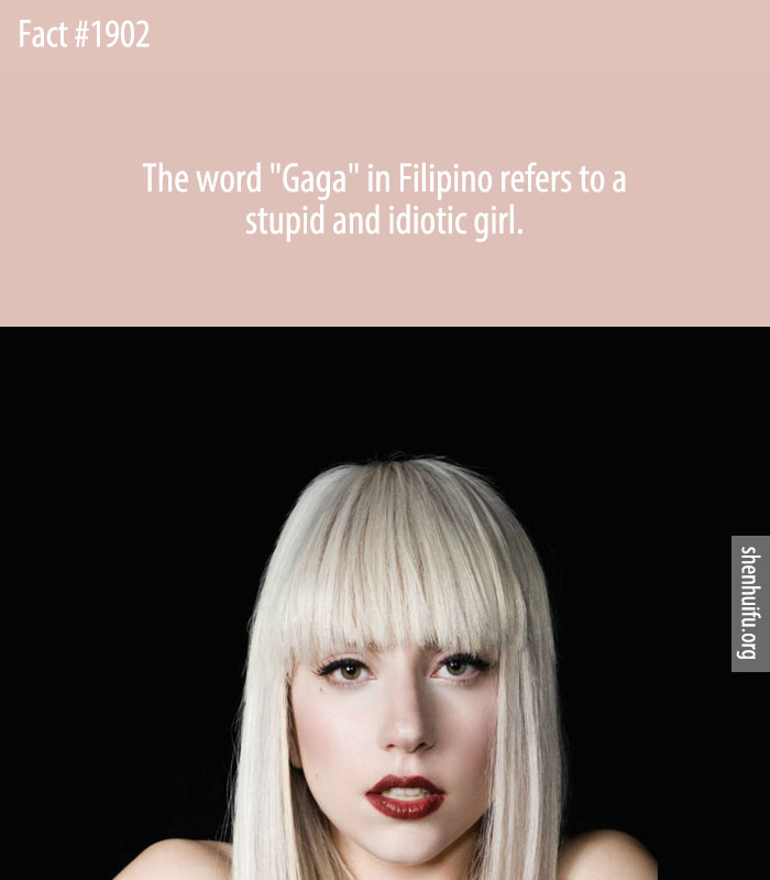 The word 'Gaga' in Filipino refers to a stupid and idiotic girl.