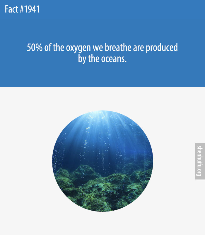 50% of the oxygen we breathe are produced by the oceans.