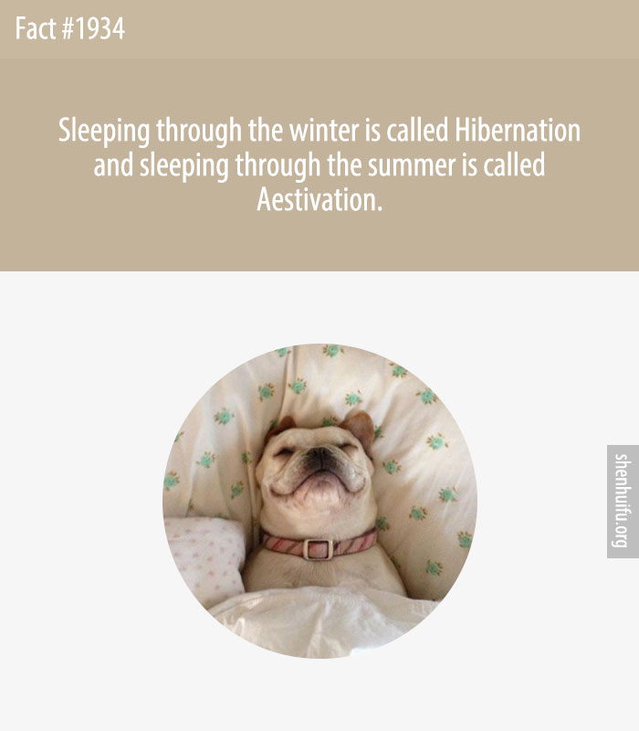 Sleeping through the winter is called Hibernation and sleeping through the summer is called Aestivation.