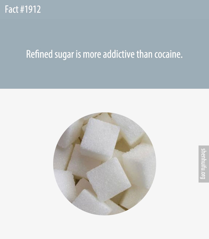 Refined sugar is more addictive than cocaine.