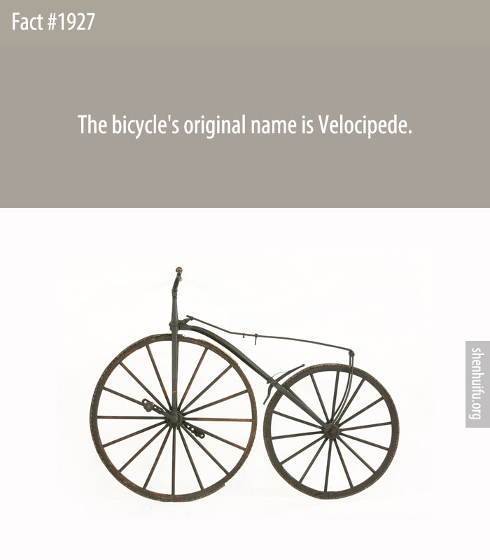 The bicycle's original name is Velocipede.