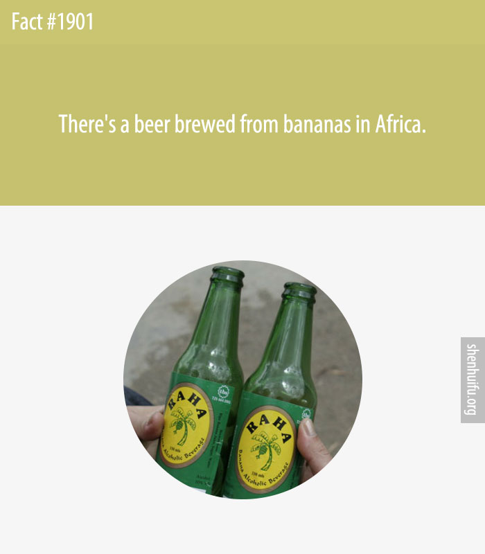 There's a beer brewed from bananas in Africa.