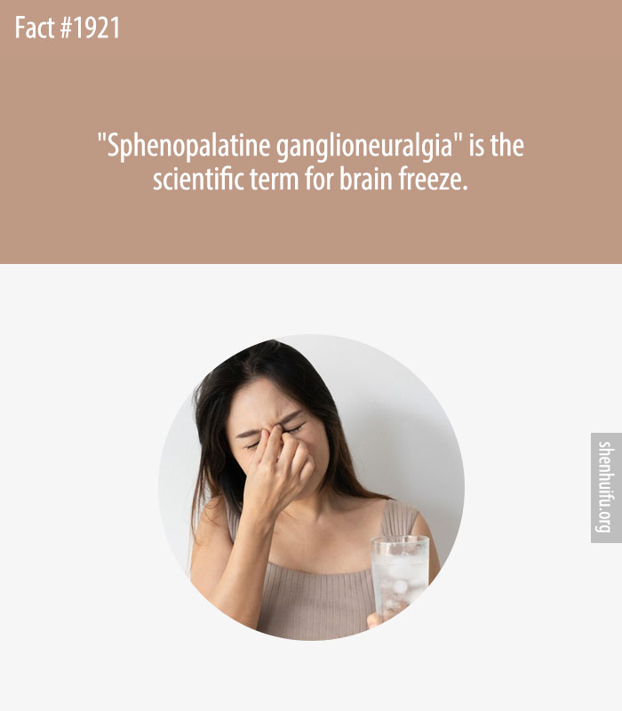 'Sphenopalatine ganglioneuralgia' is the scientific term for brain freeze.