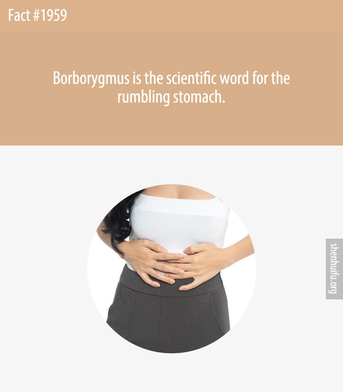 Borborygmus is the scientific word for the rumbling stomach.