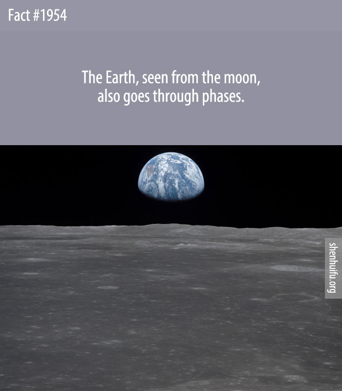 The Earth, seen from the moon, also goes through phases.