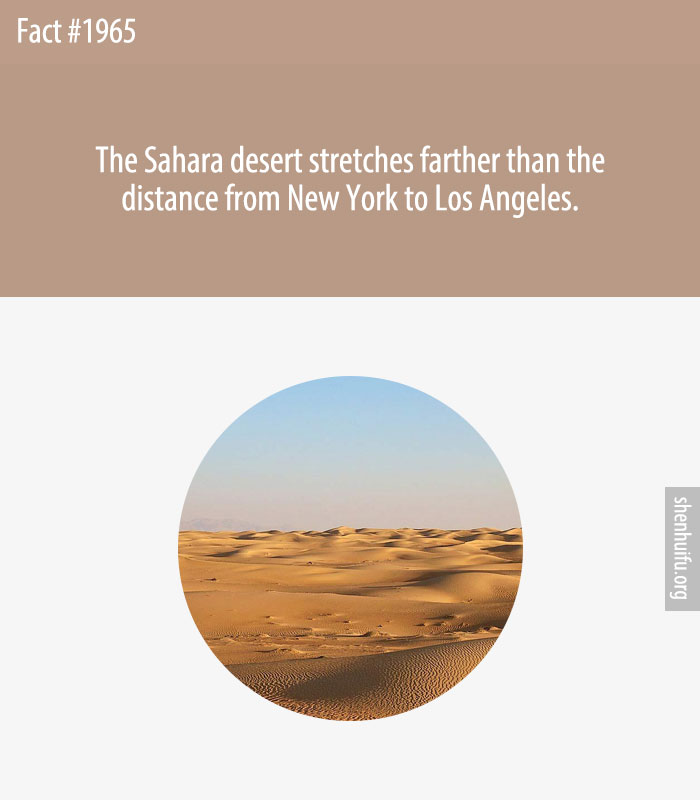 The Sahara desert stretches farther than the distance from New York to Los Angeles.