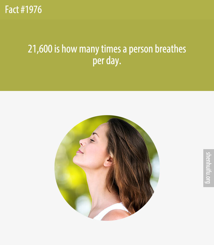 21,600 is how many times a person breathes per day.