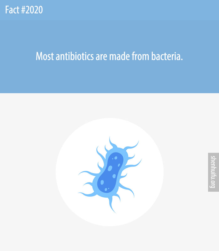 Most antibiotics are made from bacteria.