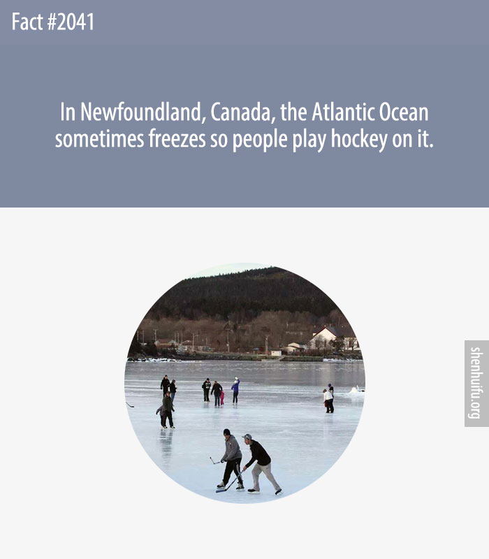 In Newfoundland, Canada, the Atlantic Ocean sometimes freezes so people play hockey on it.