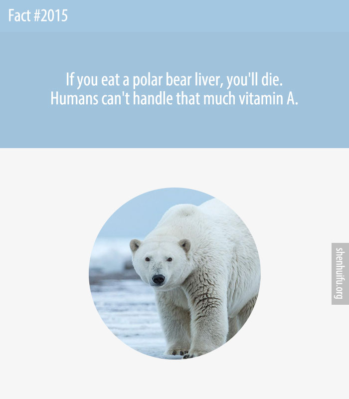 If you eat a polar bear liver, you'll die. Humans can't handle that much vitamin A.