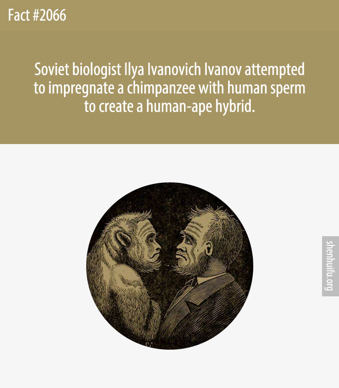 Soviet biologist Ilya Ivanovich Ivanov attempted to impregnate a chimpanzee with human sperm to create a human-ape hybrid.