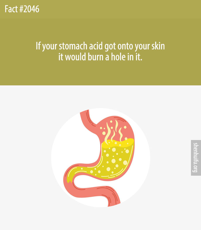 If your stomach acid got onto your skin it would burn a hole in it.