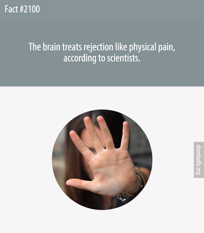 The brain treats rejection like physical pain, according to scientists.