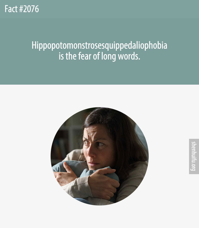 Hippopotomonstrosesquippedaliophobia is the fear of long words.