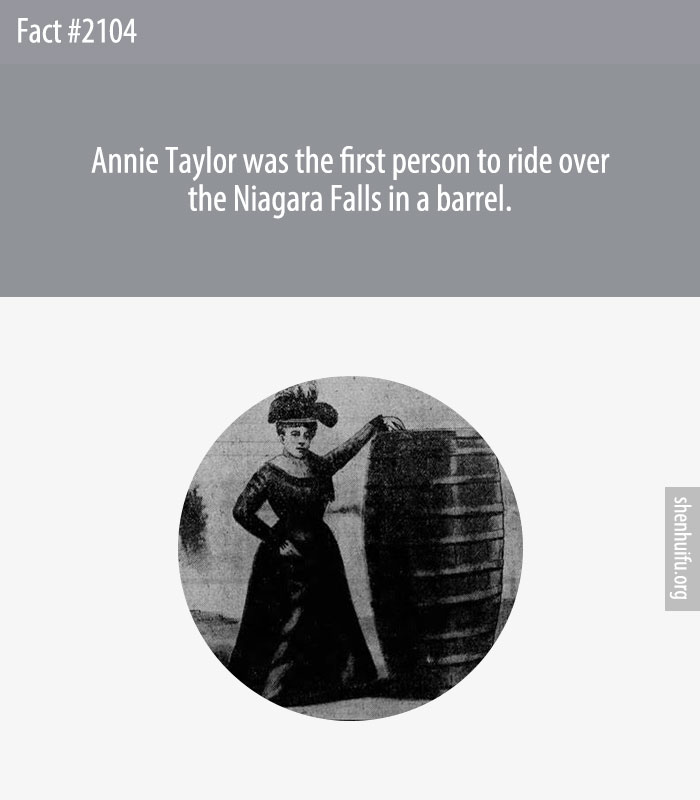 Annie Taylor was the first person to ride over the Niagara Falls in a barrel.