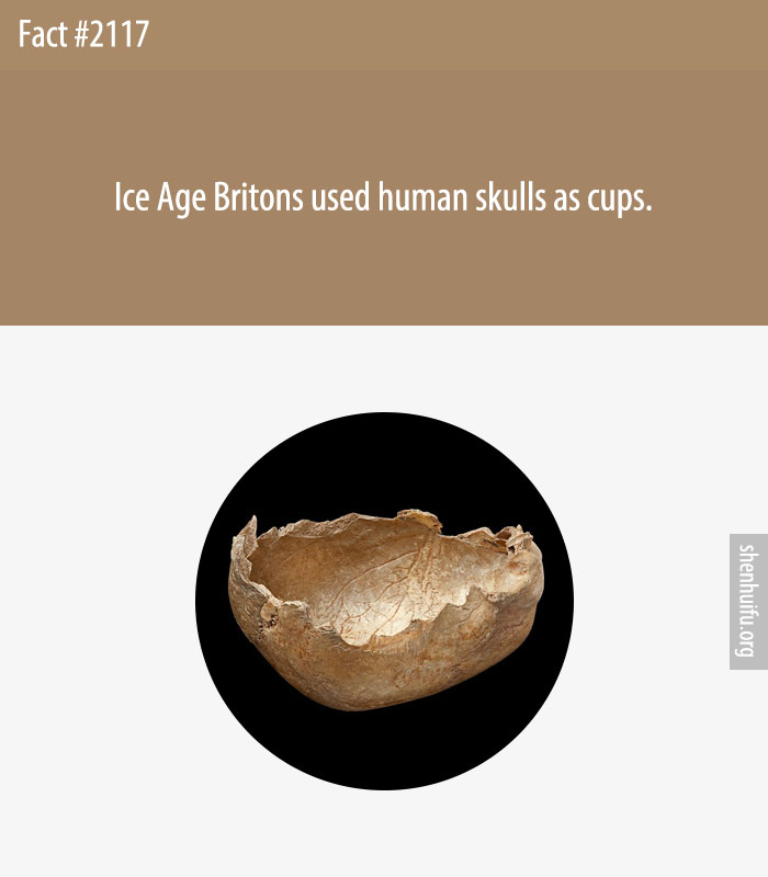 Ice Age Britons used human skulls as cups.